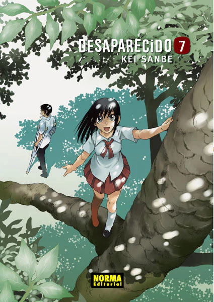 Desaparecido 07