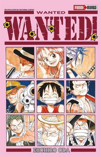 One piece WANTED