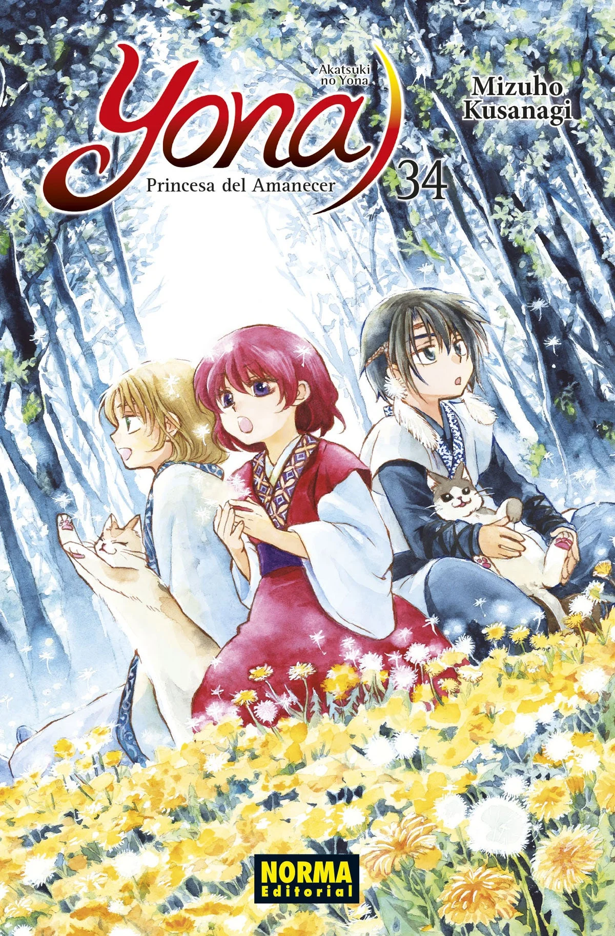 Yona, Princesa del Amanecer 34